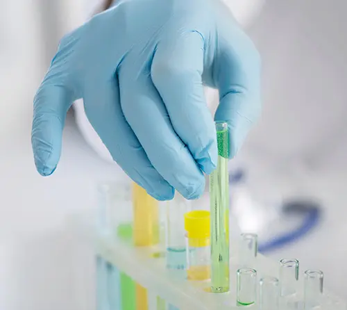 divi-laboratory-theme-image-11