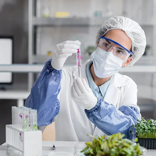 divi-laboratory-theme-image-12
