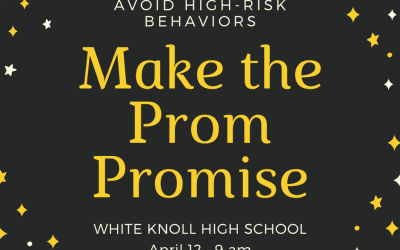 The Prom Promise